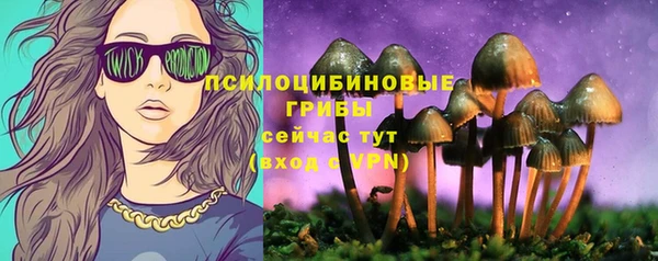ALPHA PVP Лихославль